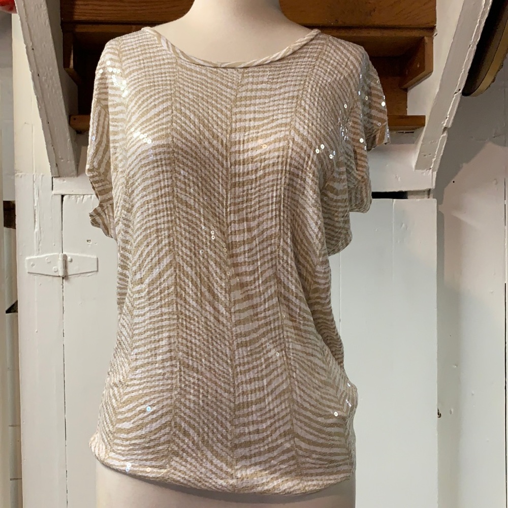 Long dressy shirt